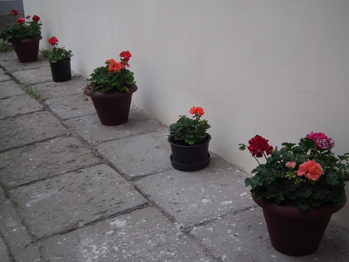Apartament Bbb48 Cluj-Napoca Buitenkant foto